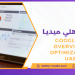 Google AI Overviews optimization UAE